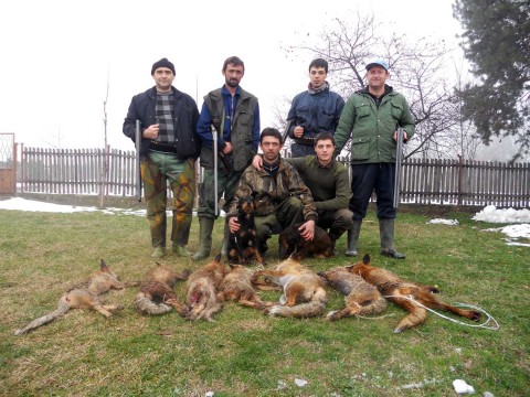 ХАЈКА НА ПРЕДАТОРЕ